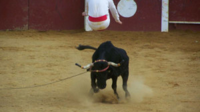 Course landaise promotion