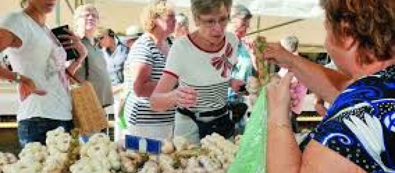 Estiv'ail fête les 10 ans de l’attribution du label IGP de l’ail blanc de Lomagne.