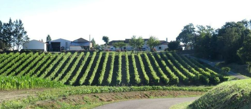 Mercredi 1er août marché à la ferme aux 3 Domaines