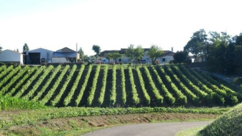 Mercredi 1er août marché à la ferme aux 3 Domaines