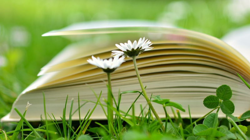 A vos marque-pages !