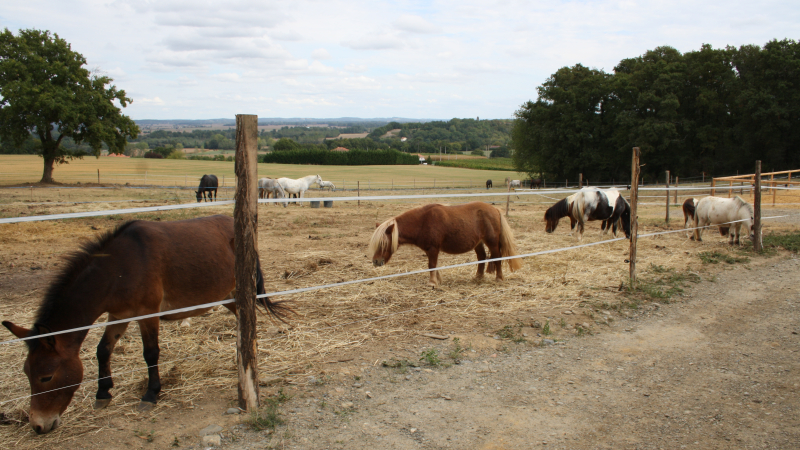 Poney Club de Corneillan