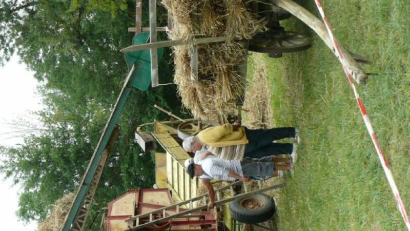 Battage à l'ancienne mercredi 15 août