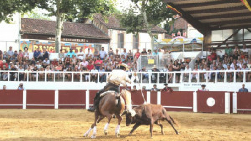 Corrida portugaise à Cazaubon