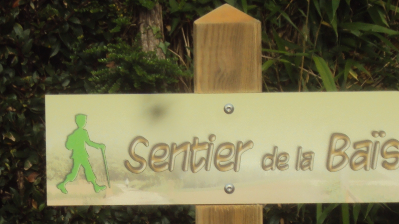 Promenade dans le cadre «Des Douces heures Estivales»