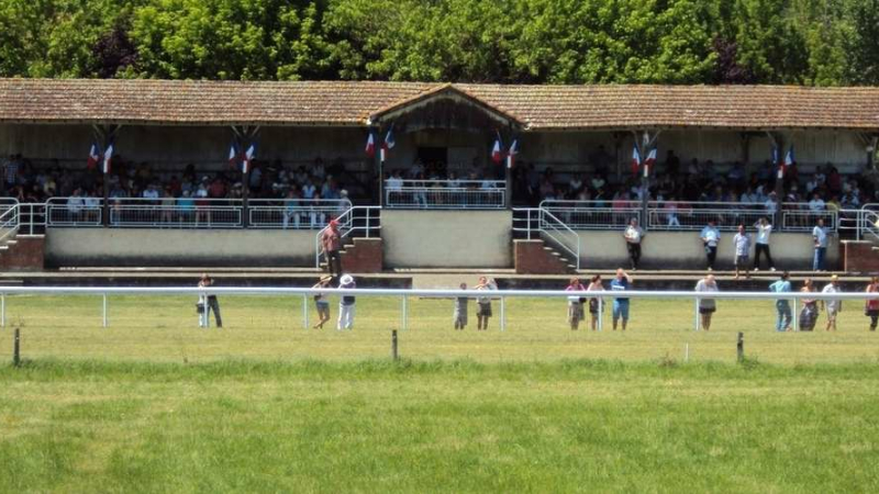 Réunion hippique samedi 