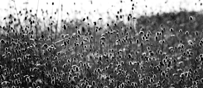 Exposition à la Cavéa : Kozo et photos font bon ménage