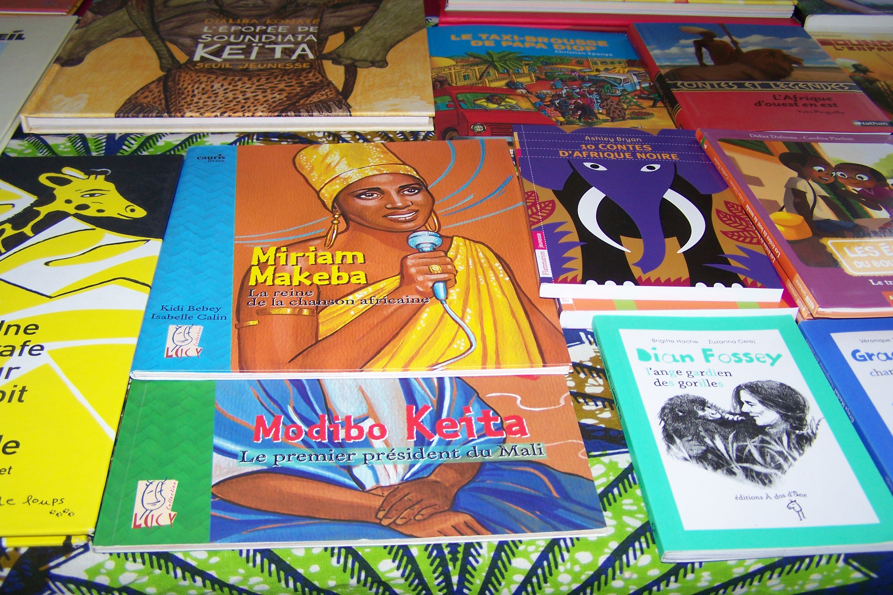 Présentation de quelques livres sur l'Afrique sous la halle