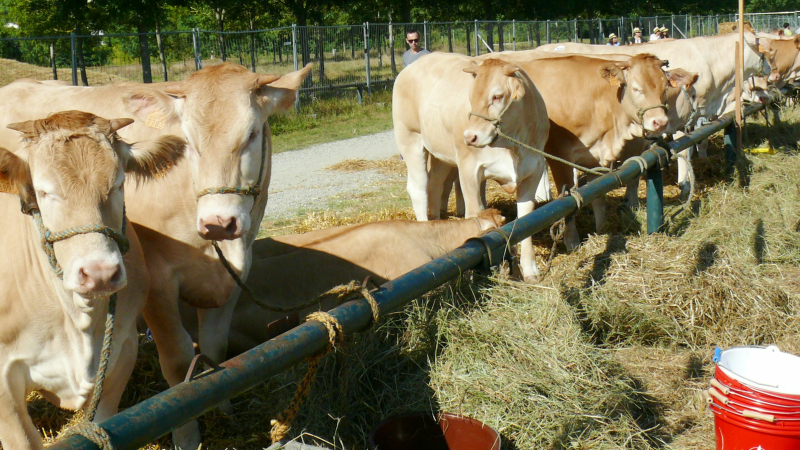 Gascogn'Agri : Le succès était au rendez-vous avec plus de 5 000 visiteurs