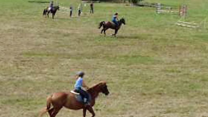 Fête du cheval