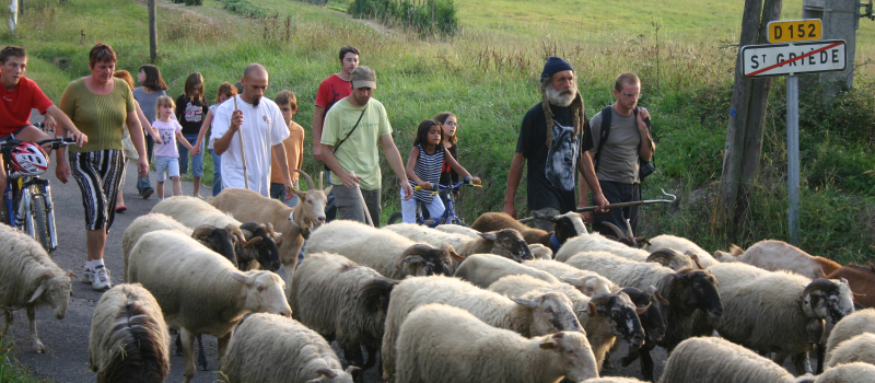 Passage de la Route-de-la-transhumance  à Saint-Griède