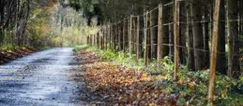 Développement du Massif Forestier Privé en Astarac Arros