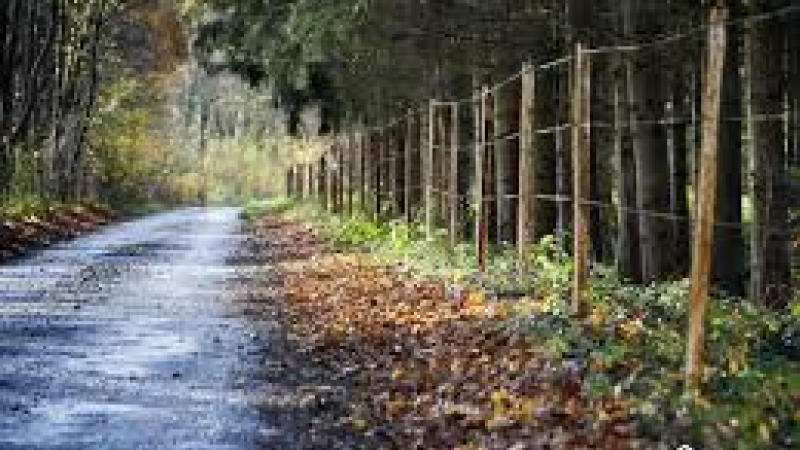 Développement du Massif Forestier Privé en Astarac Arros