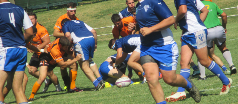 Week - end rugby