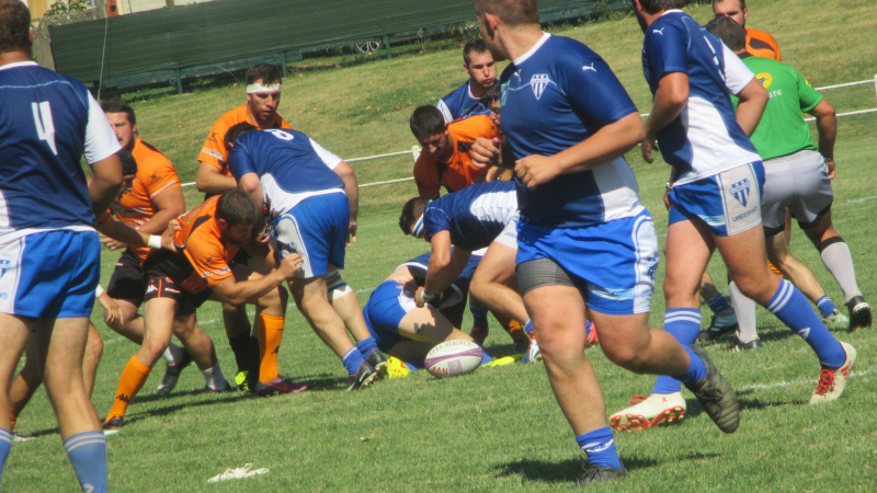 Week - end rugby