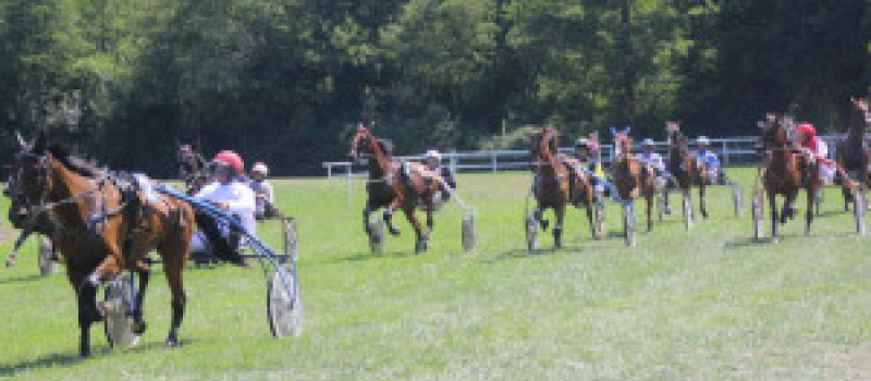 Courses de chevaux et escargolade