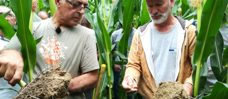Agriculture : produire et protéger 
