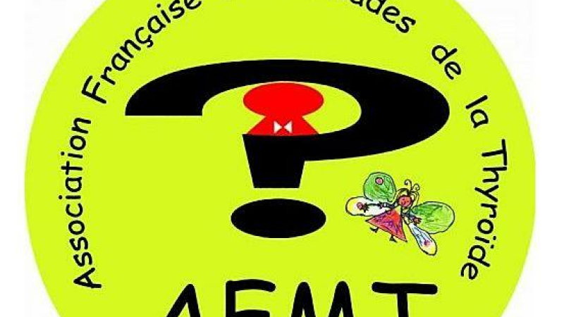 Réunion de l'AFMT