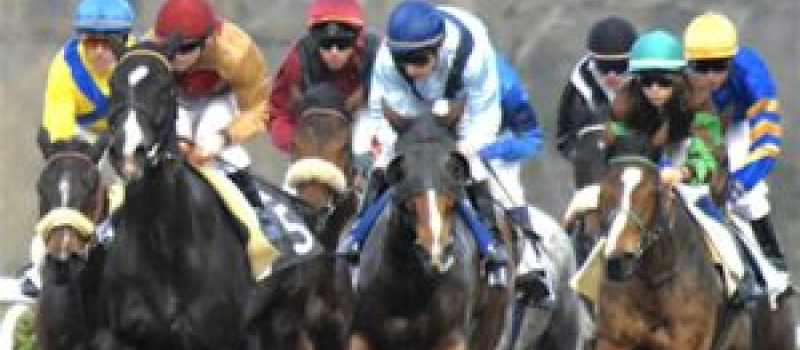 Un pur-sang des écuries montoises au Grand Prix de l'Arc de Triomphe