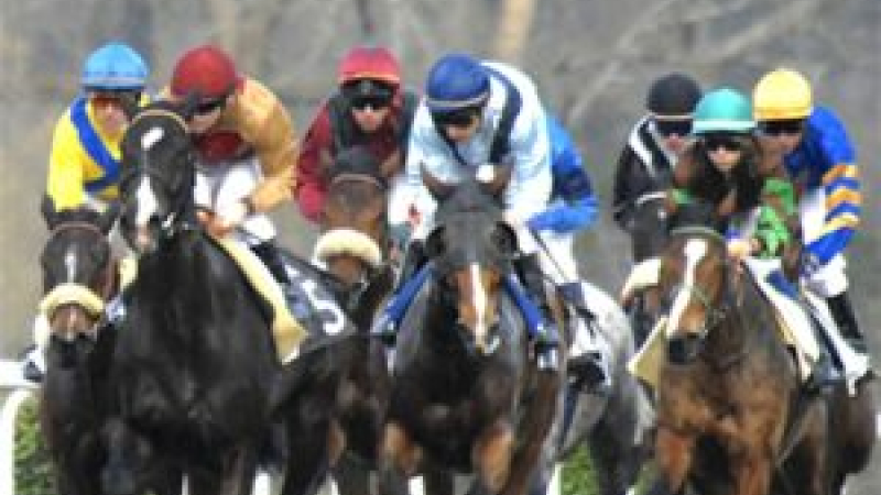 Un pur-sang des écuries montoises au Grand Prix de l'Arc de Triomphe