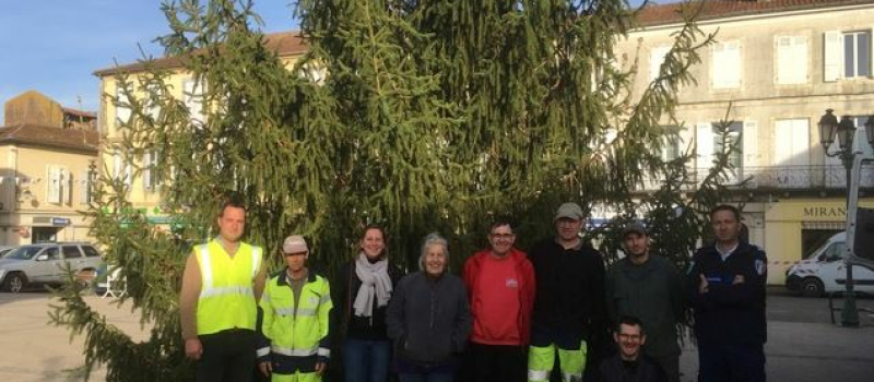 La Ville recherche son prochain sapin de Noël pour la place d’Astarac