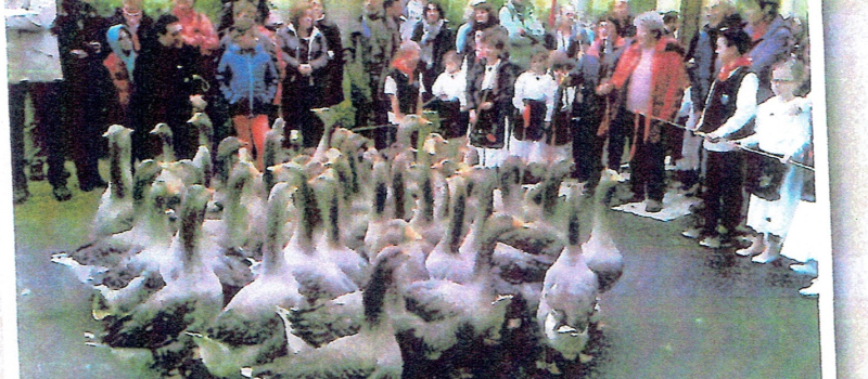La foire aux oies 11ème édition 21 octobre à Riguepeu