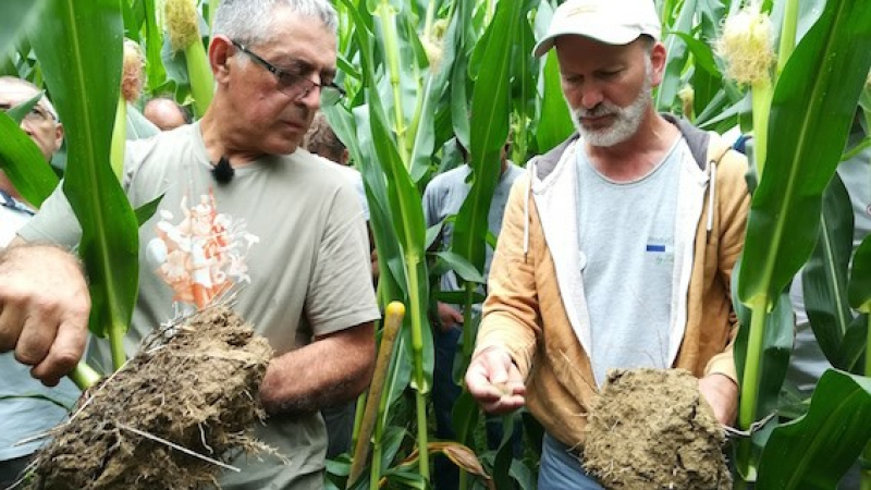 Lancement du mouvement Pour une Agriculture du Vivant