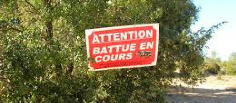 Découverte de la chasse