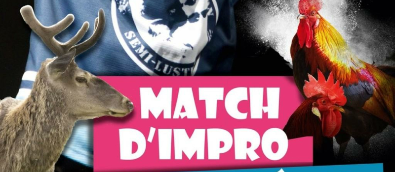 Match d’impro France / Québec