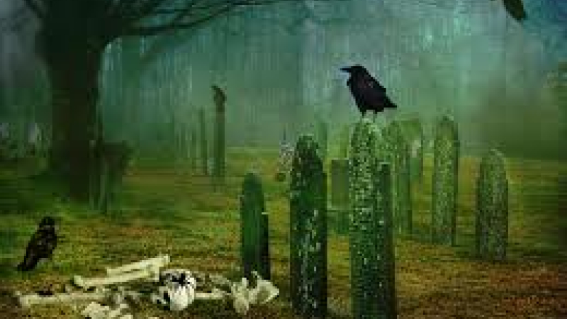 Soirée Halloween dans votre cinéma !