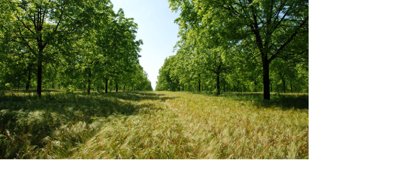 Une agriculture différente : conférence à Brugnens le 25 octobre