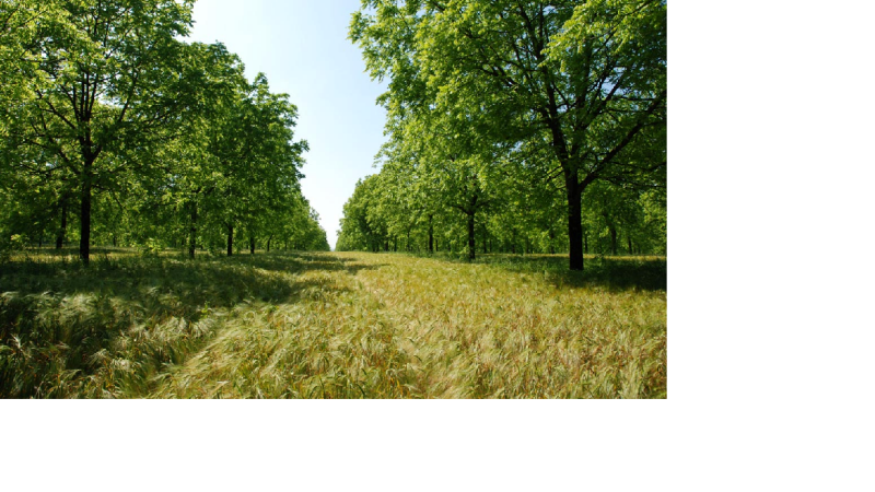 Une agriculture différente : conférence à Brugnens le 25 octobre