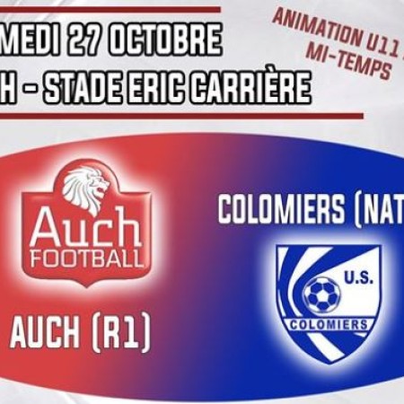 Auch Colomiers.JPG