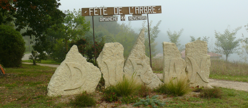 C'est la fête de l'arbre mais pas seulement...