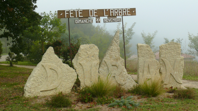 C'est la fête de l'arbre mais pas seulement...