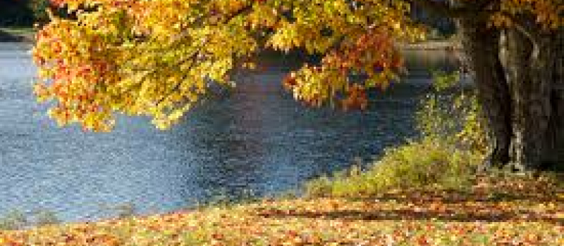 Les animations de novembre à Mirande
