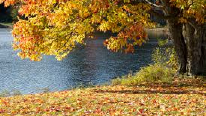 Les animations de novembre à Mirande