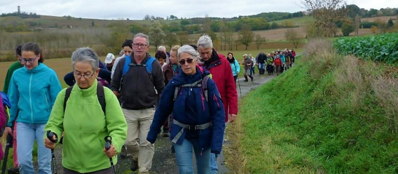 Rando de l’alambic du 11 novembre 