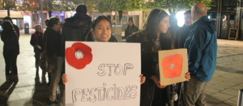 Rassemblement «Nous voulons des coquelicots»