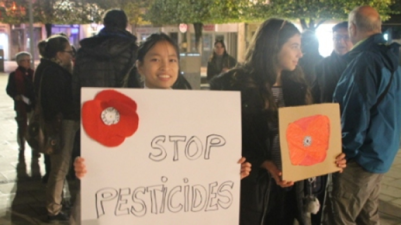 Rassemblement «Nous voulons des coquelicots»