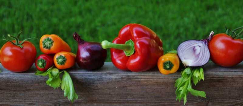 Rencontrez les acteurs gersois de l’alimentation responsable !