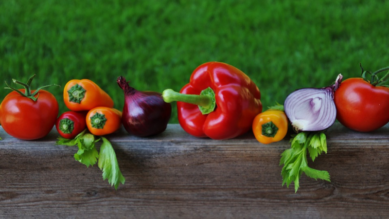 Rencontrez les acteurs gersois de l’alimentation responsable !