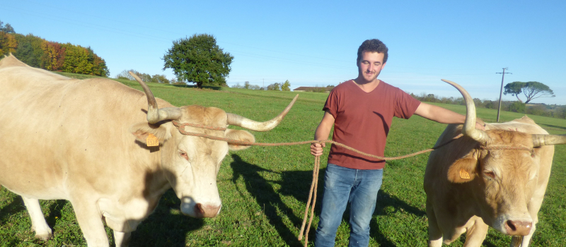 Pierre a participé à la fête de la vache nantaise
