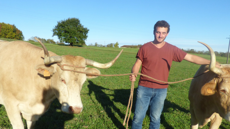 Pierre a participé à la fête de la vache nantaise