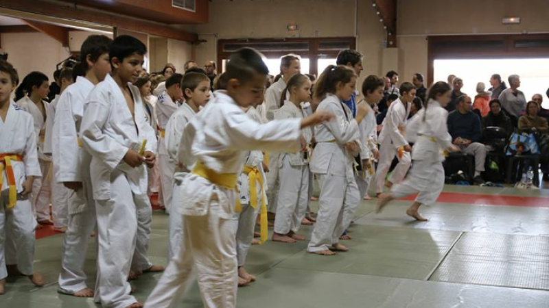 Critérium départemental de judo - Catégories benjamins, poussins et mini-poussins 