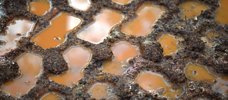 Catastrophes naturelles