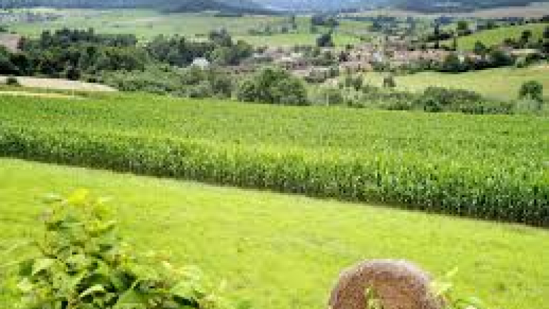 l'Agence Régionale de la Biodiversité Occitanie prend forme