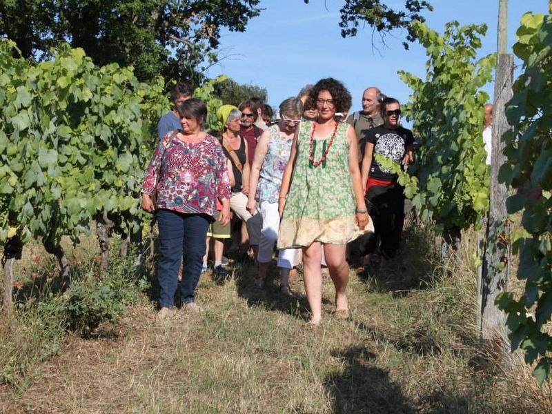 Clos les Mets d’Âmes à  Aurions-Idernes   crédit photo Lionel Lemaire