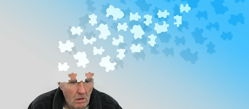 Association France Alzheimer