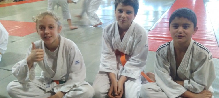 judo club mirandais.jpg